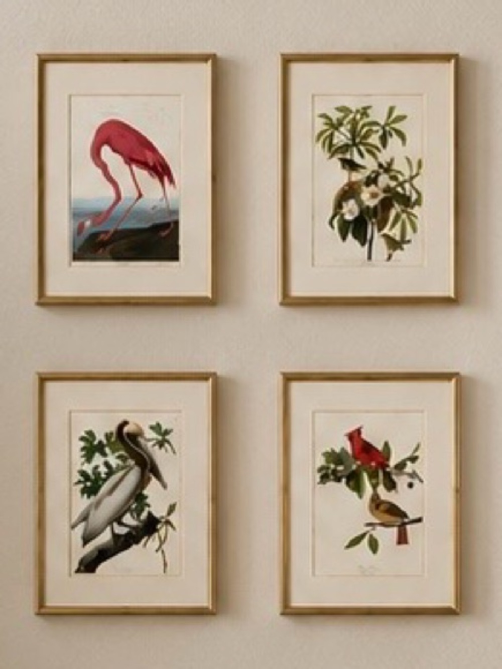 Set of 4 Framed Audubon Bird Art Prints in heavy gold metal frames